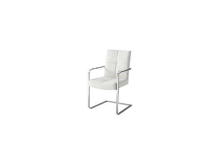 QLC6103-teakdeco-wonen-stoelen-leder-alpino-met-arm-1.png